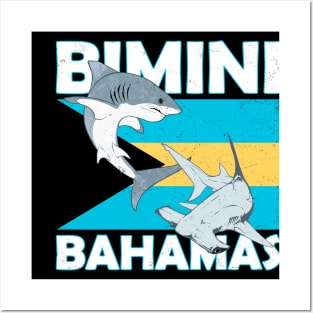 Biminin Bahamas Shark Sanctuary Posters and Art